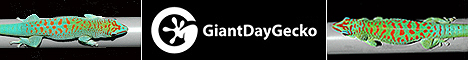 GiantDayGecko.com