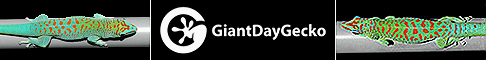 GiantDayGeckos