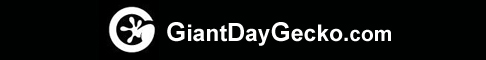 Banner 486x60- GiantDayGecko.com