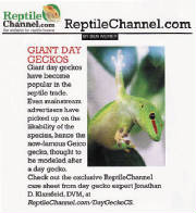 Care Sheet- Day Geckos, Phelsuma grandis
