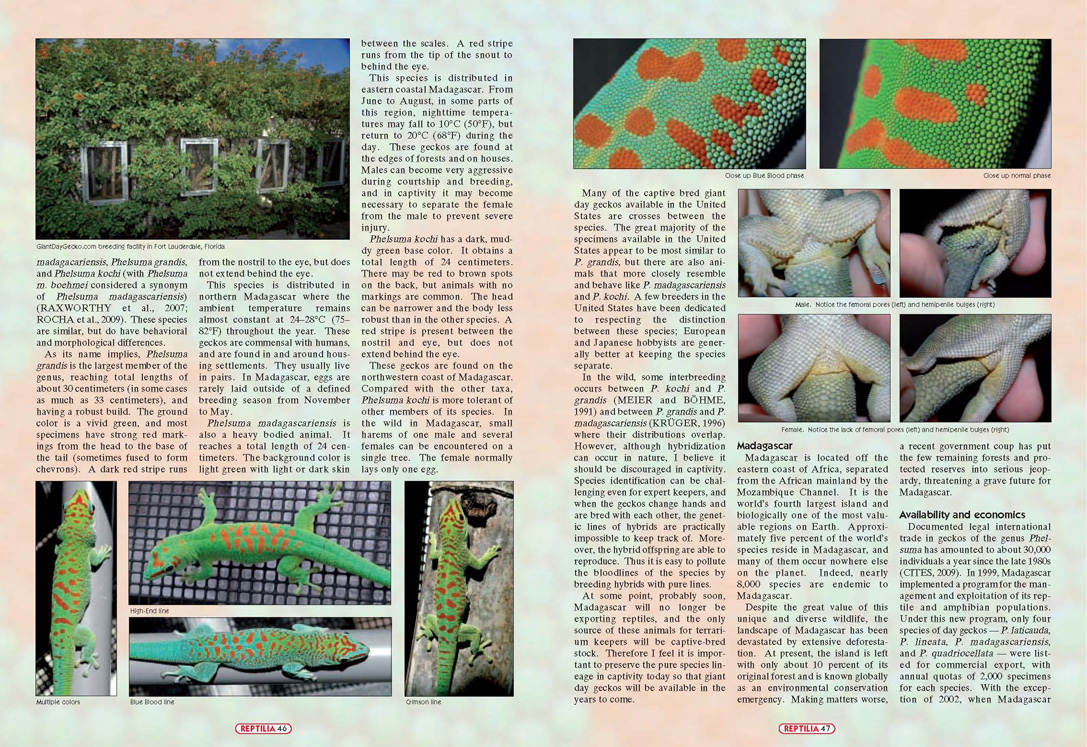 Reptilia Article- Page 2 of 4