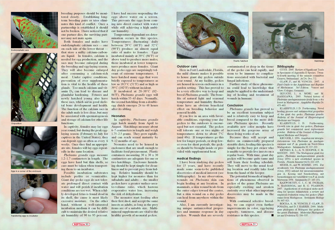Reptilia Article- Page 4 of 4