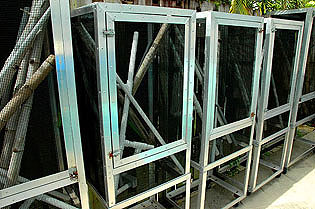 Outdoor enclosures, GiantDayGeckos.com