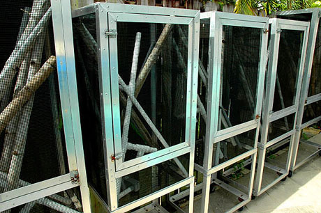 Heavy duty outdoor reptile enclosures at GiantDayGecko.com