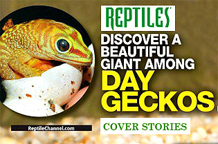 REPTILES MAGAZINE Feature Article