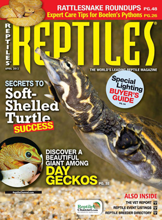Reptiles Magazine FEATURE ARTICLE