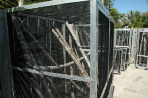 g4/Outdoor1.JPG