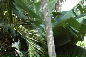 g5/89g5.jpg