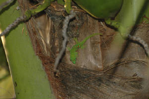 g5/w11.jpg