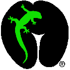 links/logo_large.gif