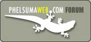 links/logo_phelsumawebb.jpg