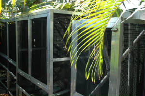 newsfacts/Outdoorenclosures.JPG